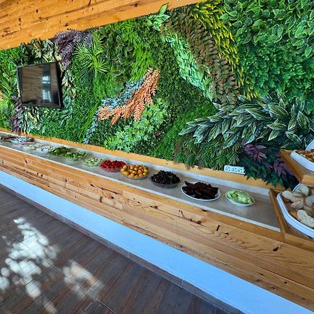 Amsterdam Boutique Hotel Kemer Extérieur photo