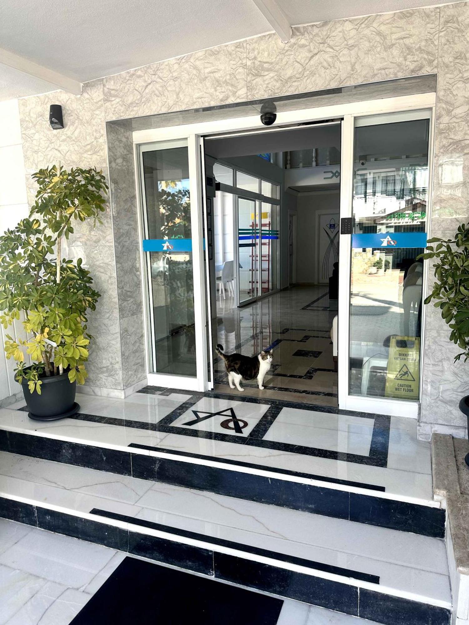 Amsterdam Boutique Hotel Kemer Extérieur photo